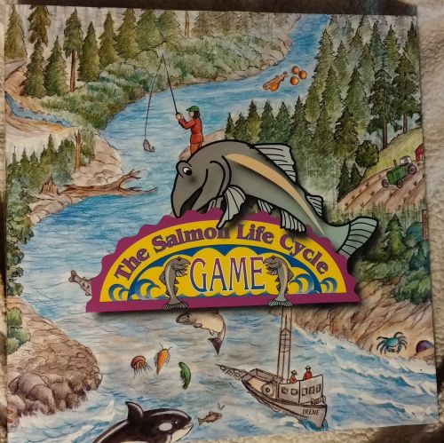 The Salmon Life Cycle Game