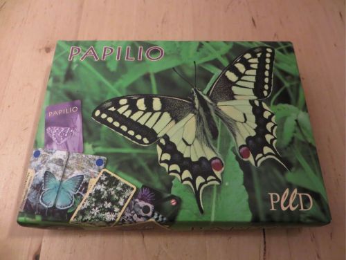 Papilio
